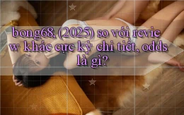 bong68, (2025) so với review khác cực kỳ chi tiết, odds là gì