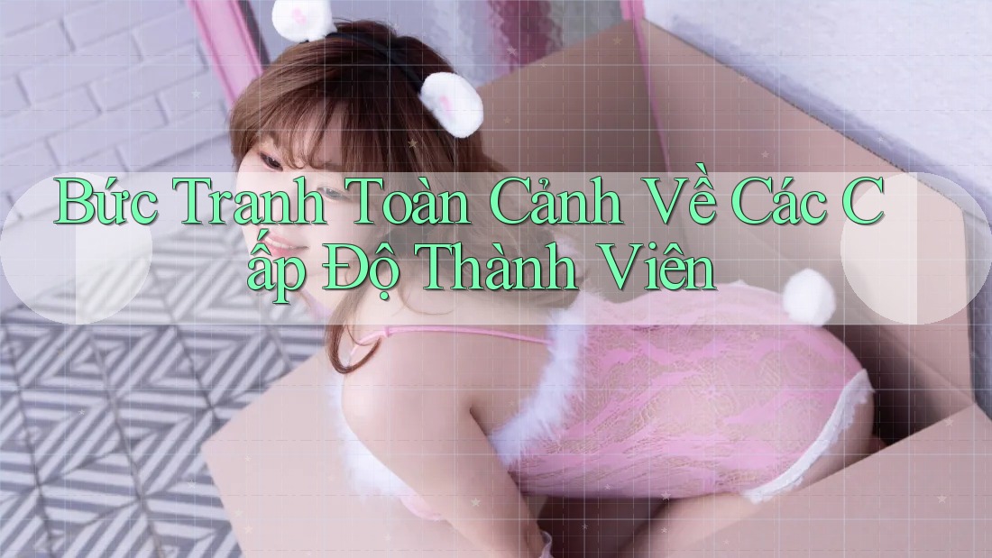 Bức Tranh Toàn Cảnh Về Các Cấp Độ Thành Viên Bức Tranh Toàn Cảnh Về Các Cấp Độ Thành Viên