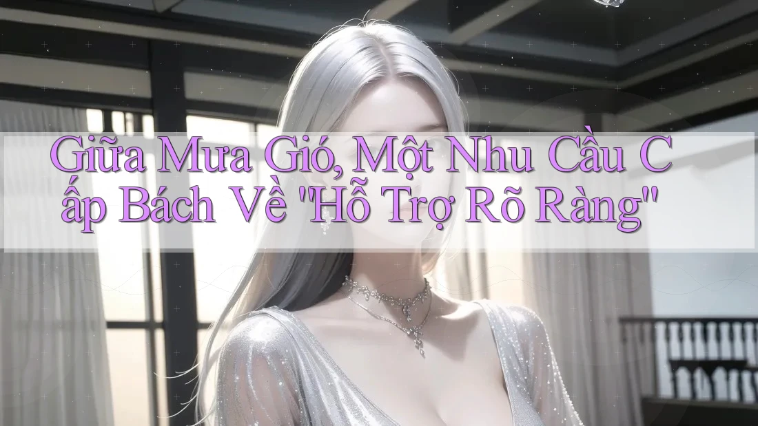 Giữa Mưa Gió, Một Nhu Cầu Cấp Bách Về “Hỗ Trợ Rõ Ràng”