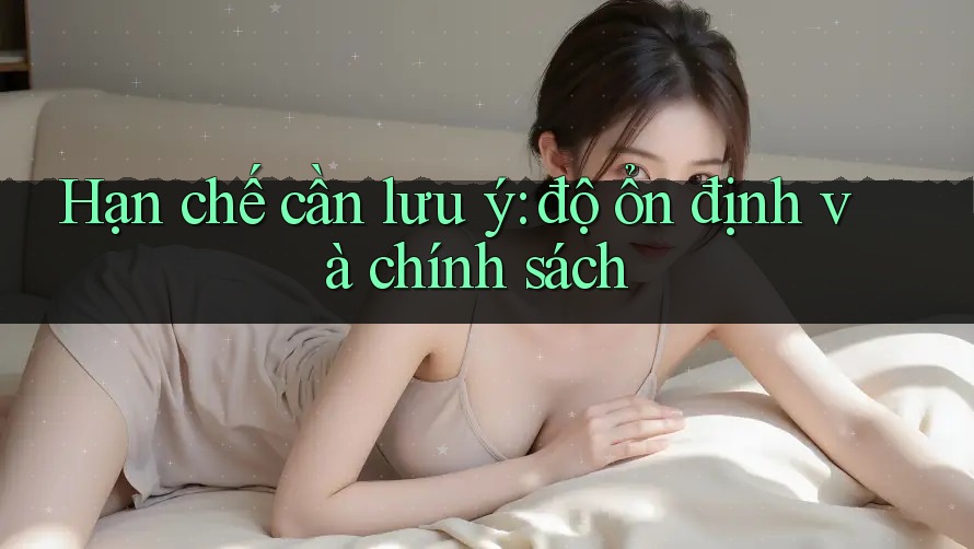 Hạn chế cần lưu ý: độ ổn định và chính sách