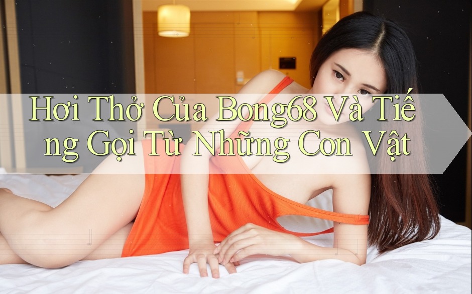 Hơi Thở Của Bong68 Và Tiếng Gọi Từ Những Con Vật