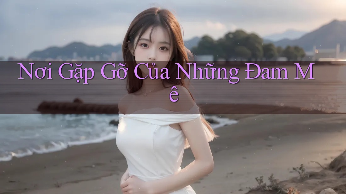 Nơi Gặp Gỡ Của Những Đam Mê Nơi Gặp Gỡ Của Những Đam Mê